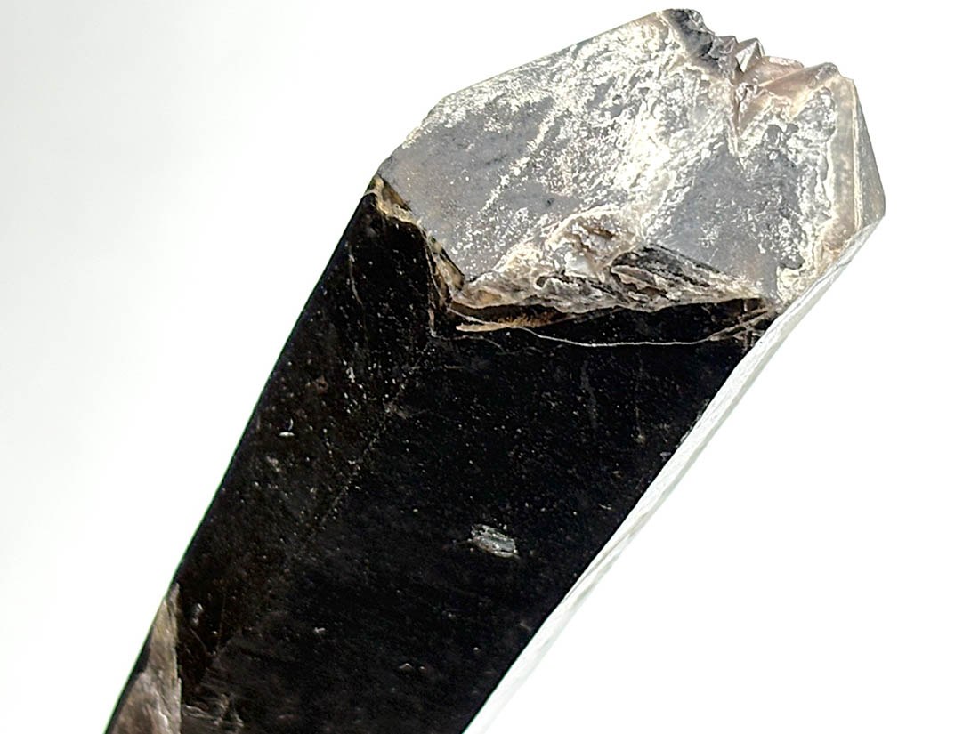 両剣 モリオン Late Edo Katana Signed by Motohira for sale | Samurai Museum Shop