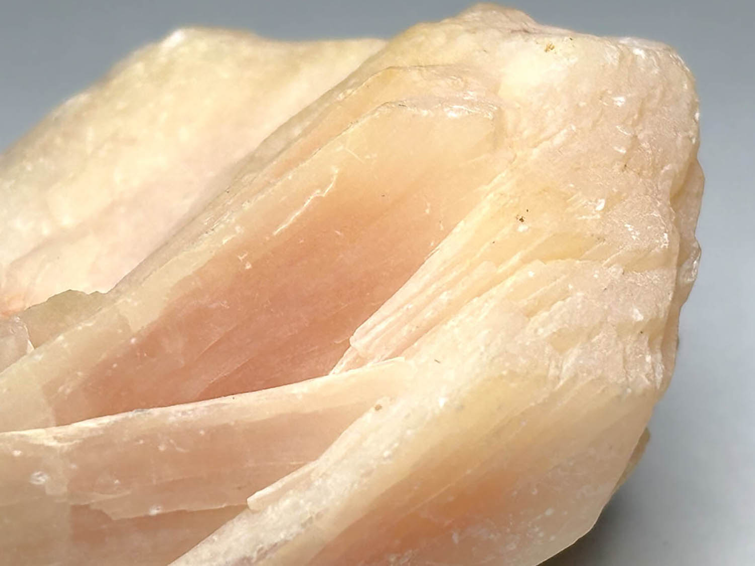 インド産スティルバイト/Stilbite (束沸石)