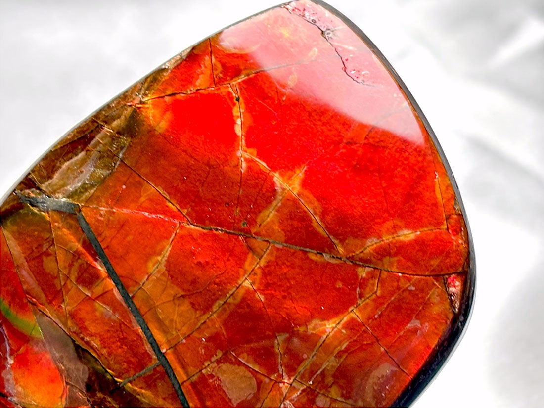 アンモライト カナダ アルバータ州産 カナダ・アルバータ州産 アンモライト / Ammolite