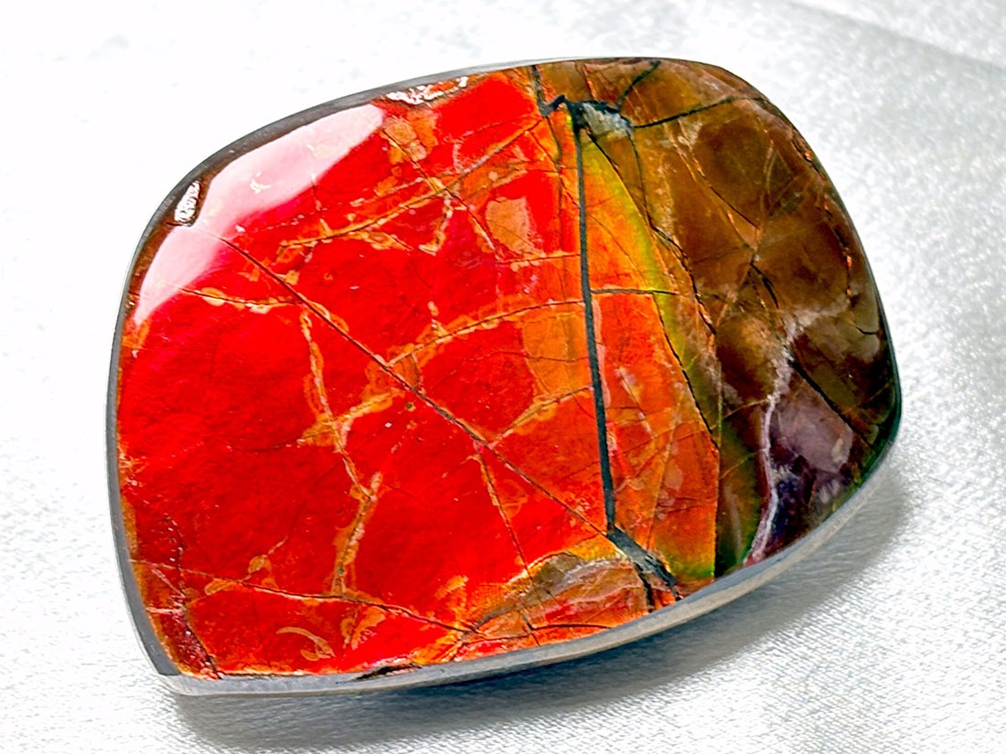 カナダ・アルバータ州産 アンモライト / Ammolite