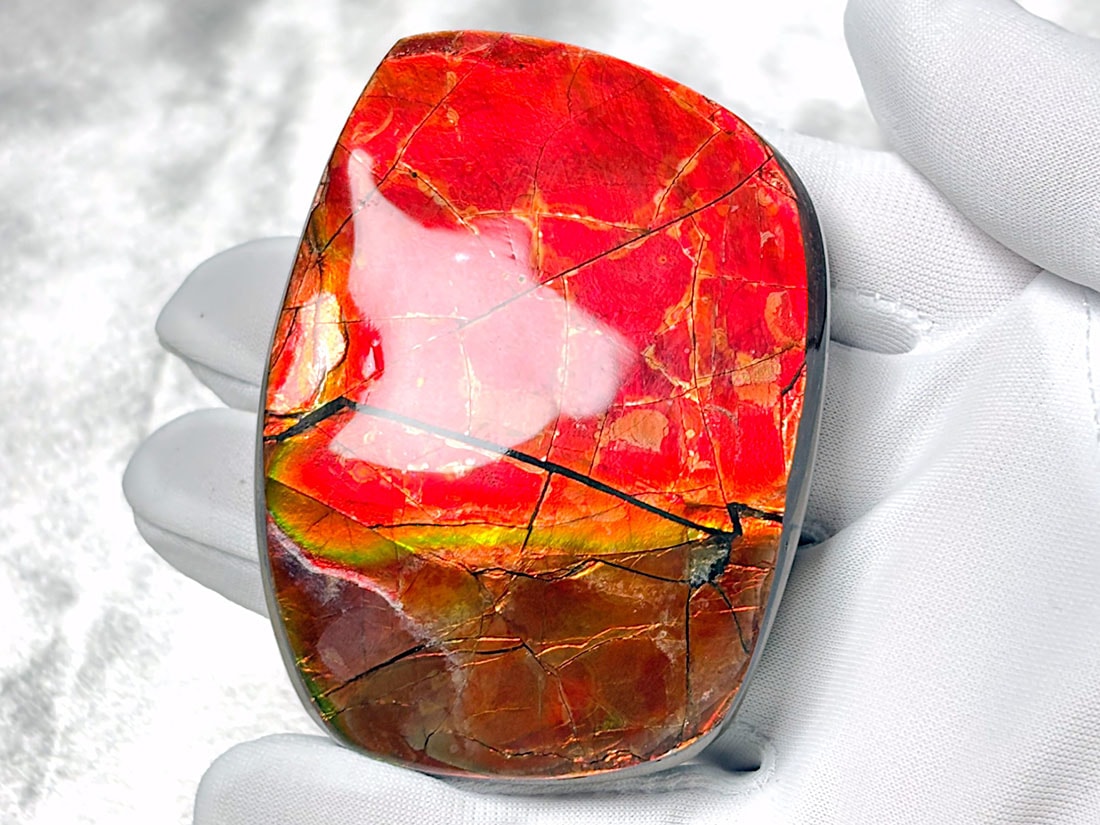 アンモライト カナダ アルバータ州産 カナダ・アルバータ州産 アンモライト / Ammolite