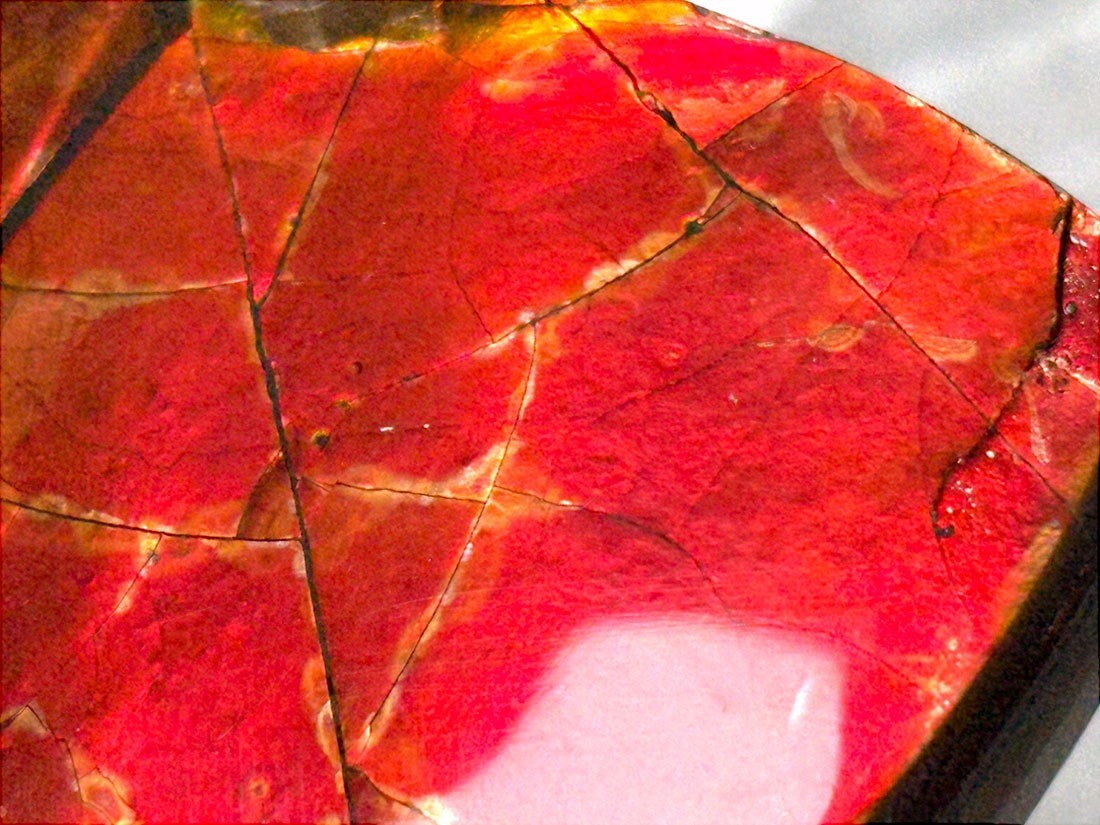 アンモライト カナダ アルバータ州産 カナダ・アルバータ州産 アンモライト / Ammolite