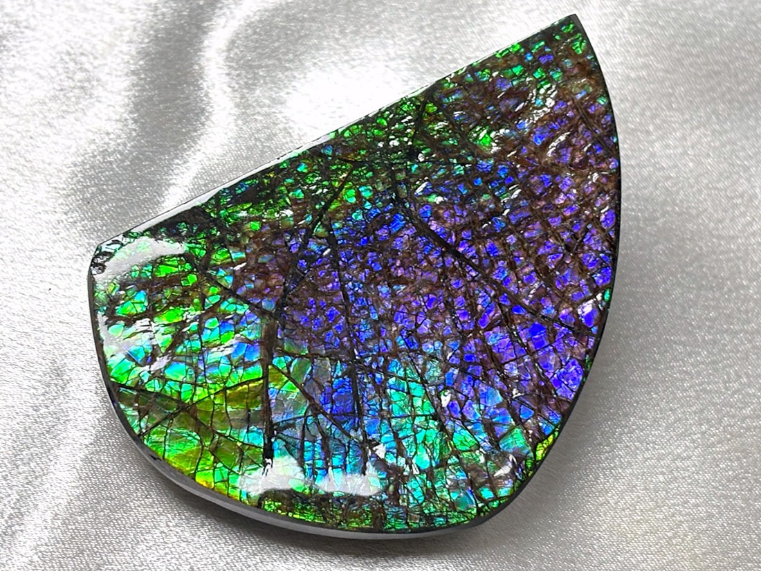 カナダ・アルバータ州産 アンモライト / Ammolite