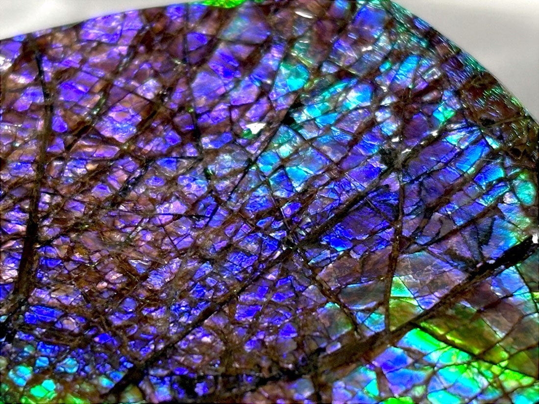 アンモライト25ｇ　価格交渉可 カナダ・アルバータ州産 アンモライト / Ammolite