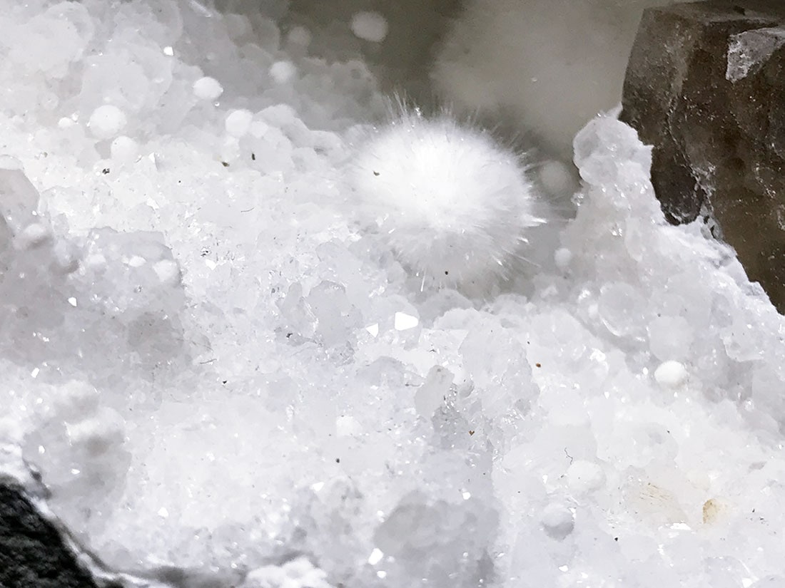 インド産オケナイト