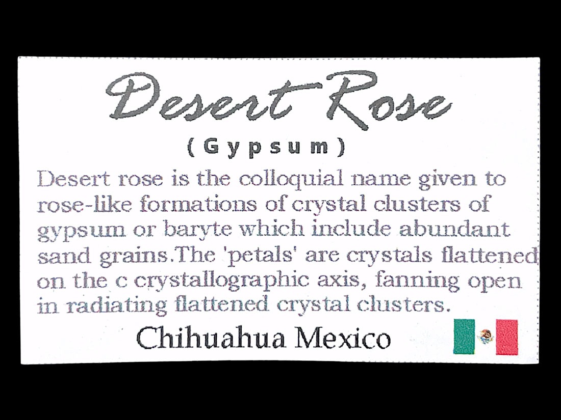メキシコ産 デザートローズ (砂漠のバラ)