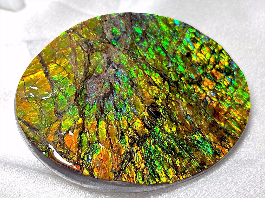 カナダ・アルバータ州産 アンモライト / Ammolite