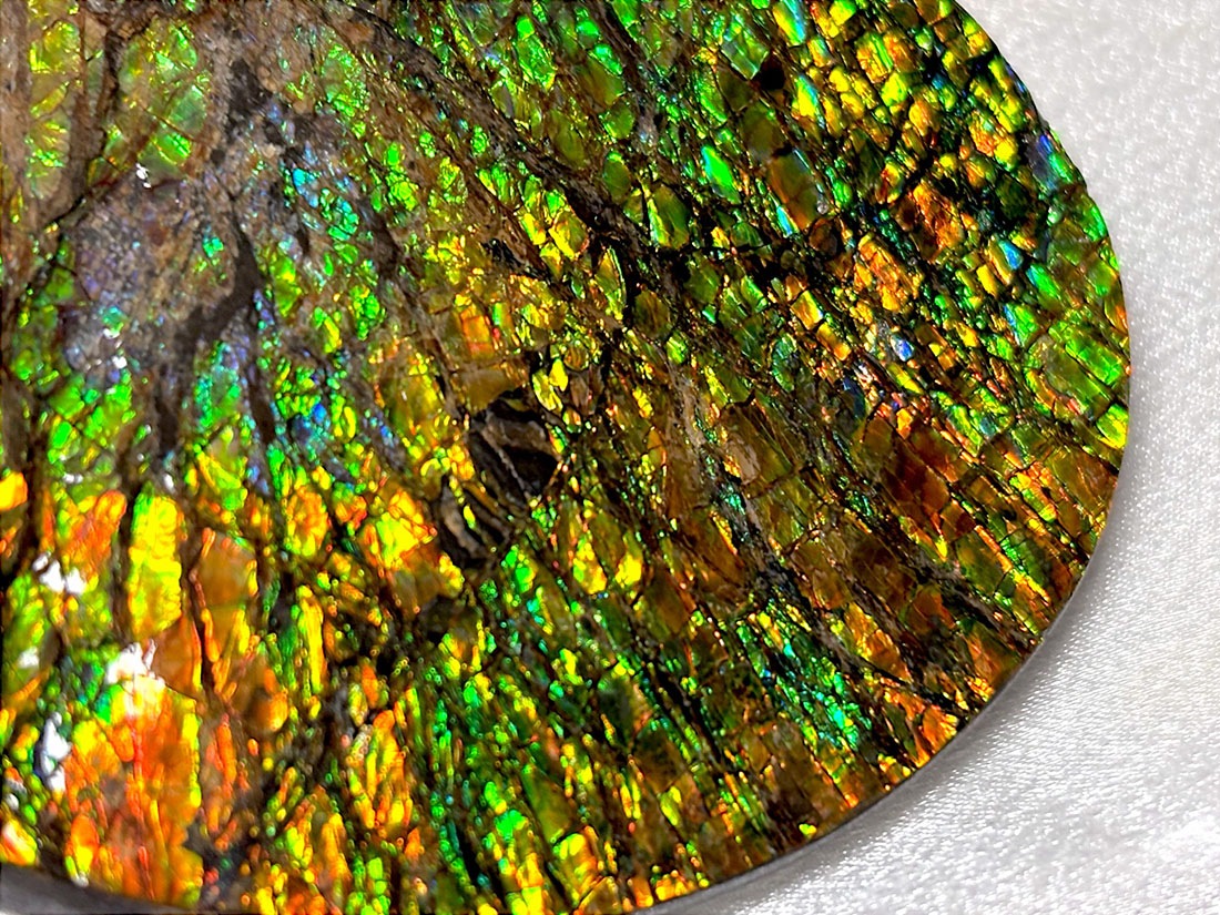 カナダ・アルバータ州産 アンモライト / Ammolite