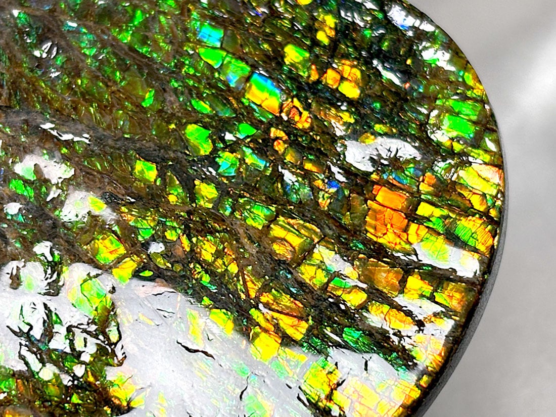 カナダ・アルバータ州産 アンモライト / Ammolite