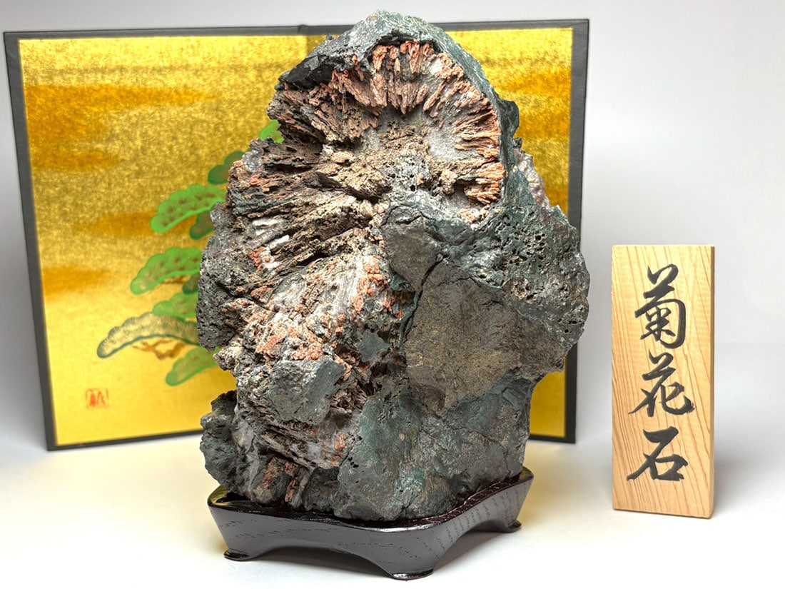 岐阜県根尾谷産 菊花石 【サバ菊】 (木製台座付き)