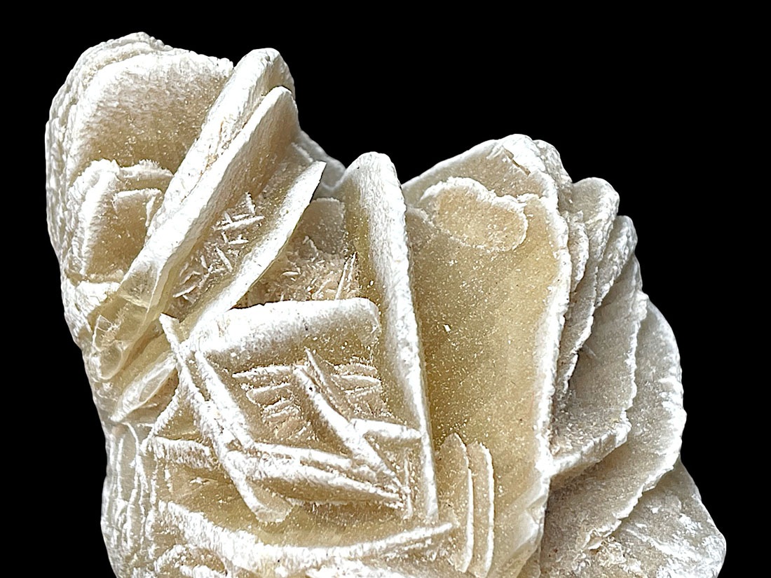 メキシコ産 デザートローズ (砂漠のバラ)