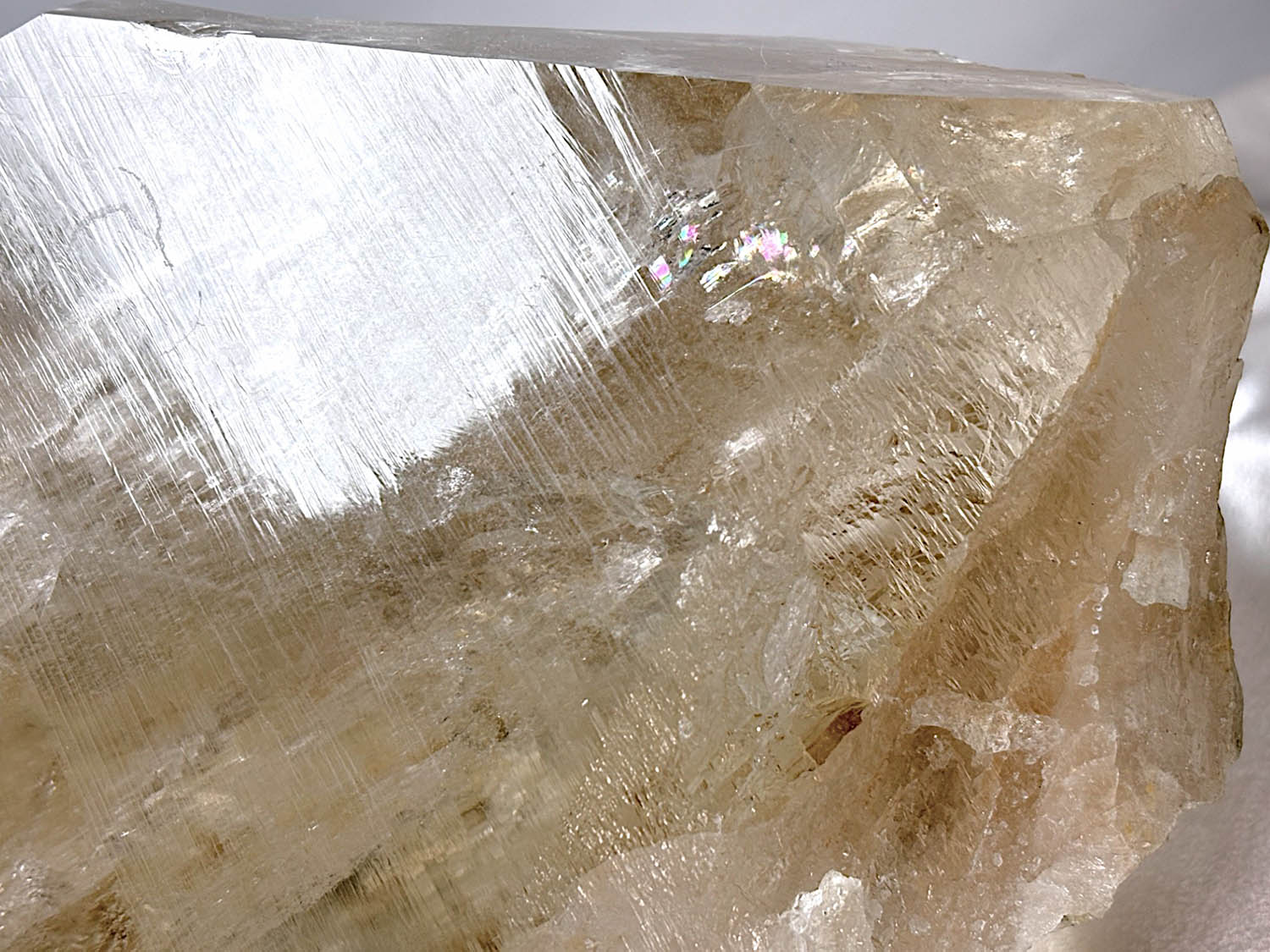 インド・パルギ鉱山産 ルチルクォーツ ( 金鉱石入り水晶 )/Rutilated