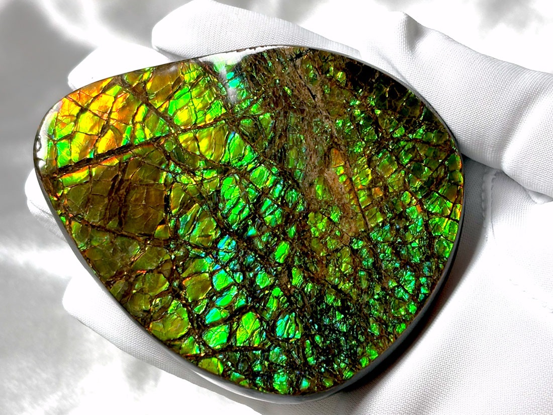 カナダ・アルバータ州産 アンモライト / Ammolite