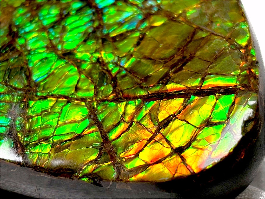 カナダ・アルバータ州産 アンモライト / Ammolite