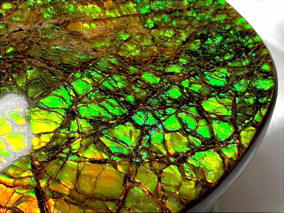 【アンモライト】貴重！美しいアンモライト アンモライト】貴重！美しいアンモライト