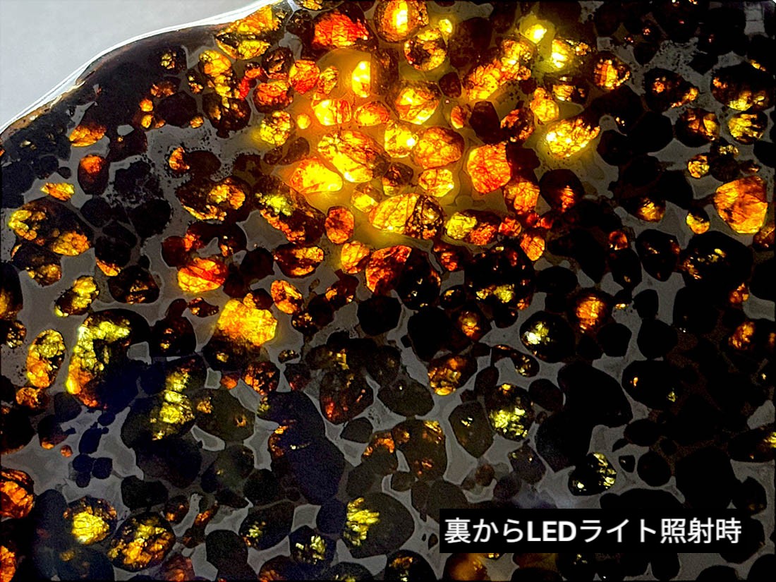 ケニア産 セリコパラサイト隕石 大型 / Sericho Pallasite Meteorite