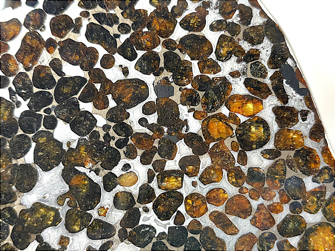 ケニア産 セリコパラサイト隕石 大型 / Sericho Pallasite Meteorite