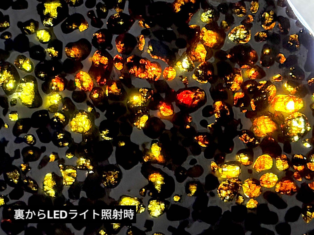 ケニア産 セリコパラサイト隕石 大型 / Sericho Pallasite Meteorite