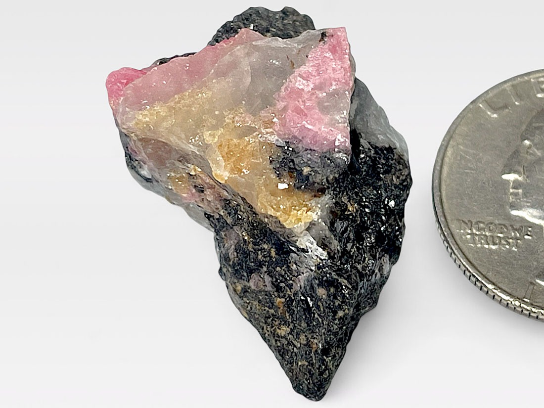 じゅわーっとくる！綺麗なロードナイト！すんごい！ じゅわーっとくる！綺麗なロードナイト！すんごい！ ロードナイトin