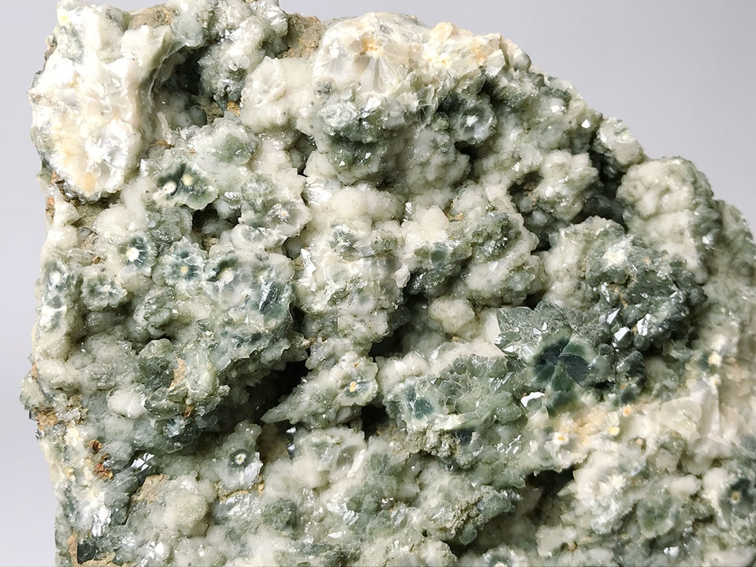 【磨き石 天然石】オーシャンジャスパー 木製台座付き 磨き石 天然石】オーシャンジャスパー 木製台座付き