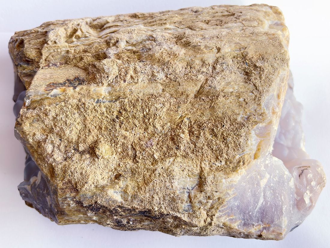 インドネシア産 ペトリファイドウッド 珪化木 スラブ プレート インドネシア産 ペトリファイドウッド ( 珪化木 ) / Petrified wood