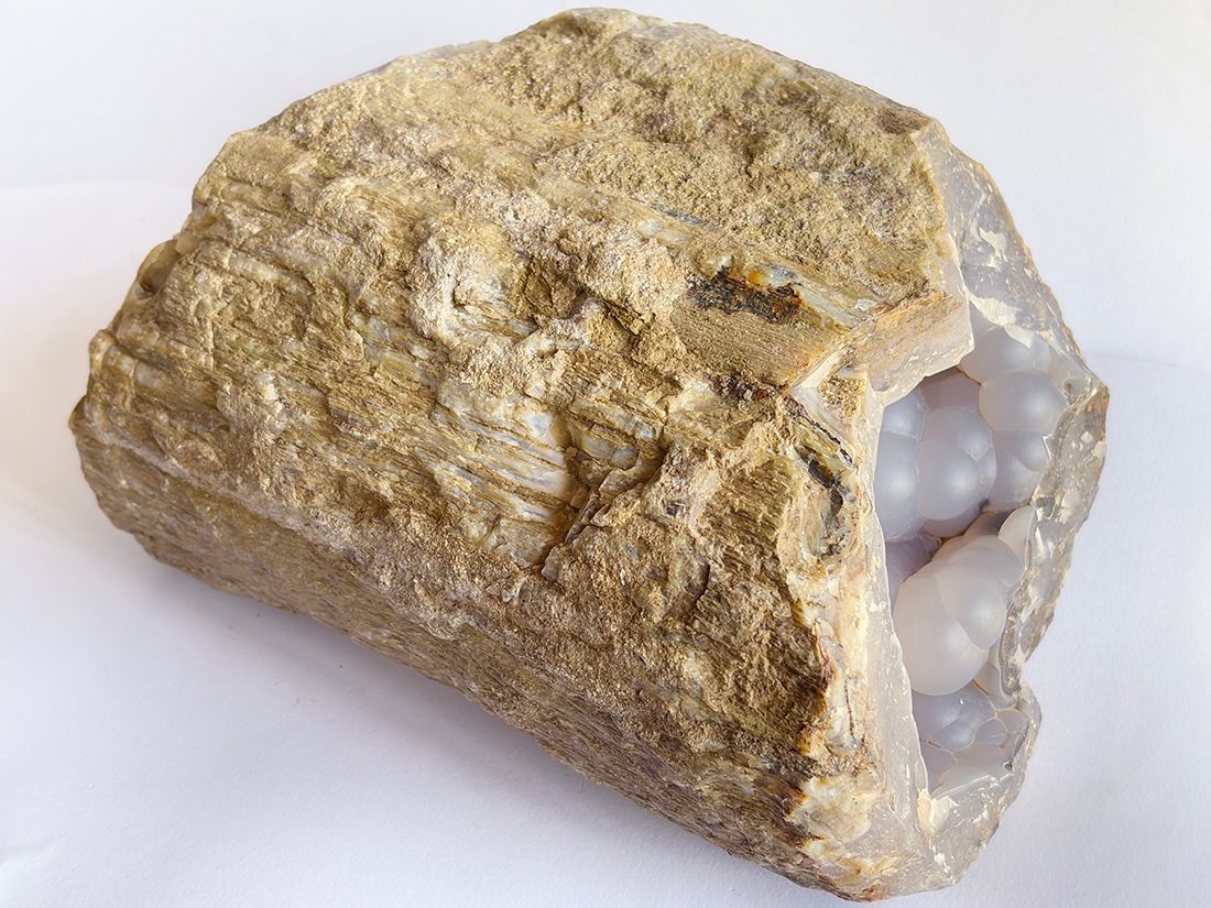 インドネシア産 ペトリファイドウッド 珪化木 スラブ プレート インドネシア産 ペトリファイドウッド ( 珪化木 ) / Petrified wood