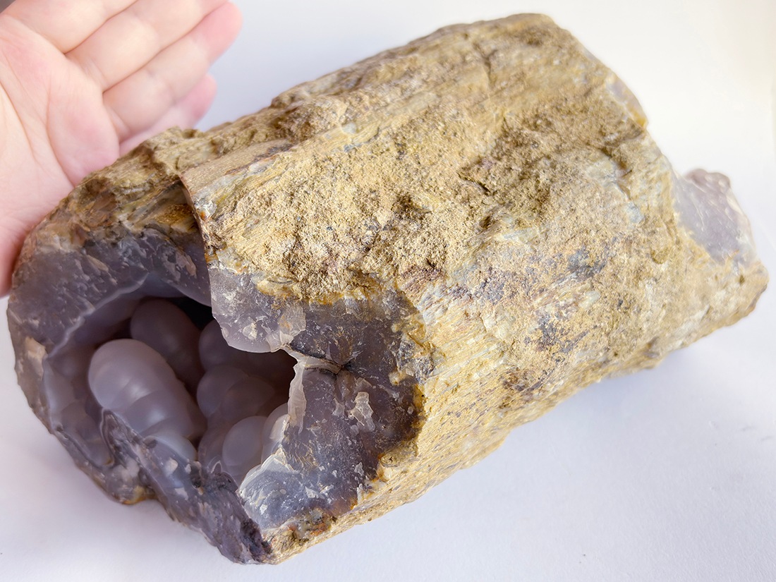 インドネシア産 ペトリファイドウッド 珪化木 スラブ プレート インドネシア産 ペトリファイドウッド ( 珪化木 ) / Petrified wood