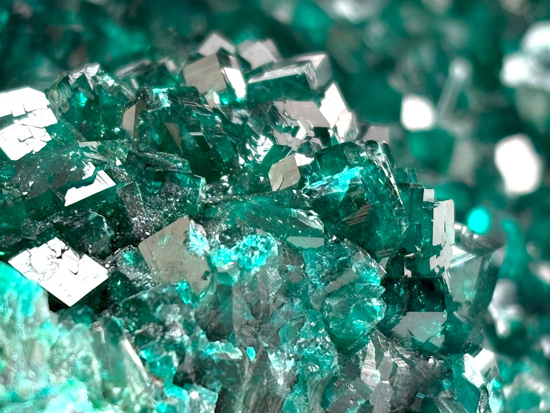 コンゴ産 ミュージアムクラス!! ダイオプテーズ / クリソコラ