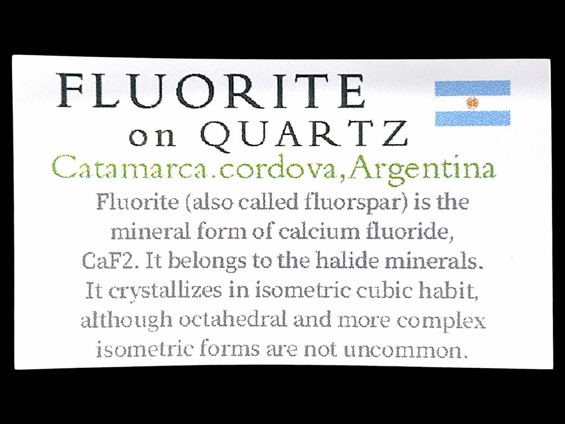 アルゼンチン産 フローライト on クォーツ / Fluorite on Quartz (蛍石