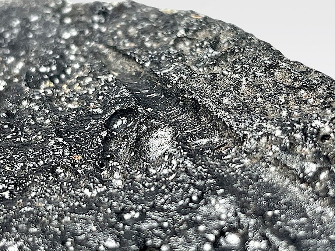 海南省産 テクタイト / Tektite