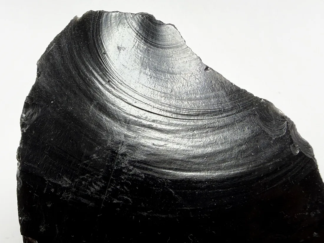 北海道白滝村(旧)産 黒曜石(十勝石) / Obsidian