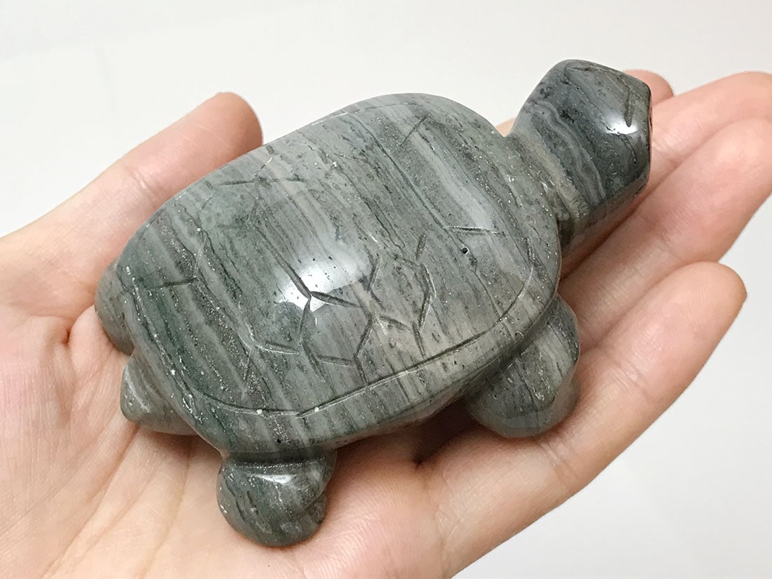 カメ タカラトミーアーツ マウンテンタートルズ レビュー : おもちゃの巣