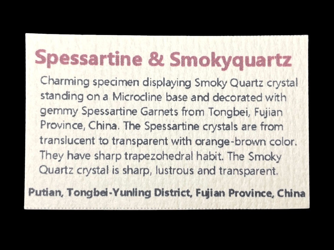 福建省 スぺサルチンガーネット / スモーキークォーツ