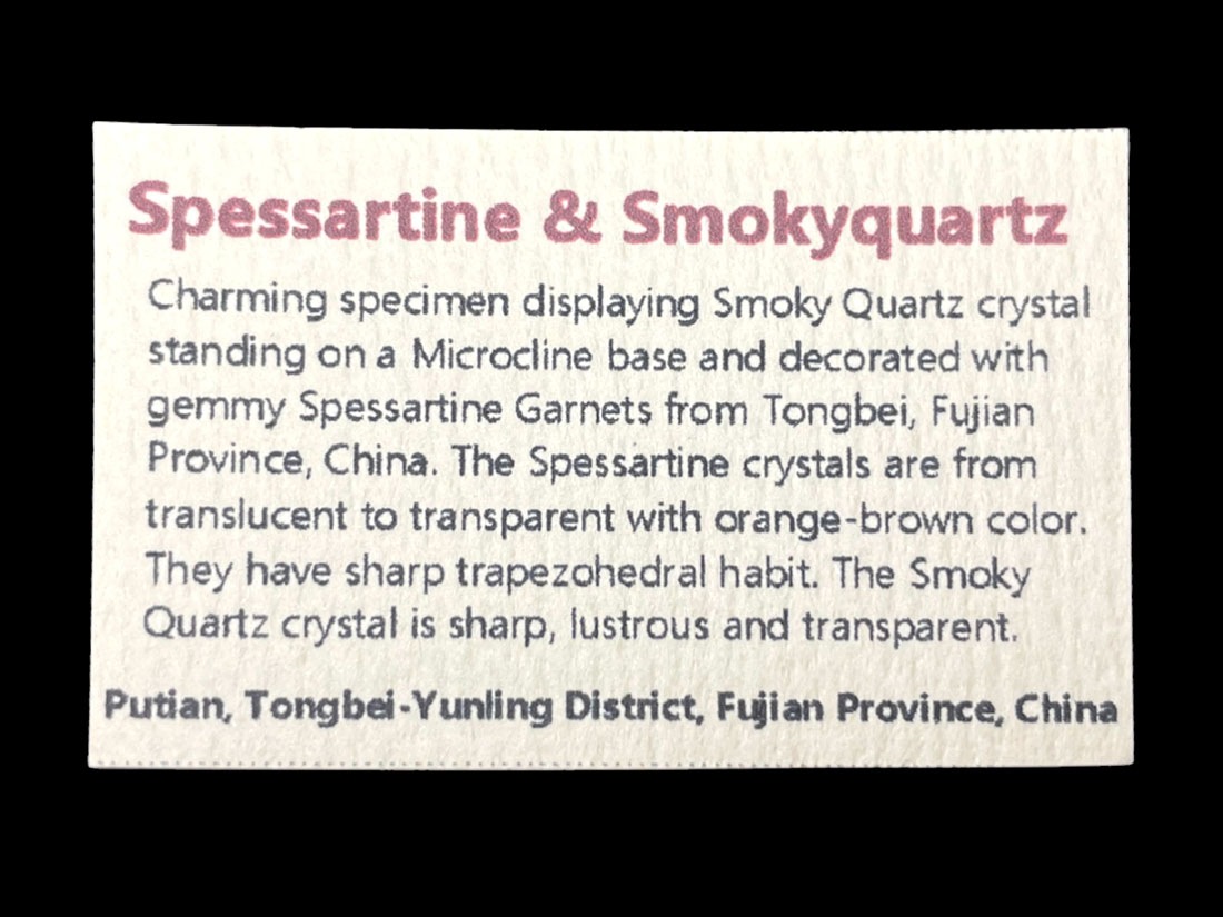 中国 福建省 スぺサルチンガーネット / スモーキークォーツ