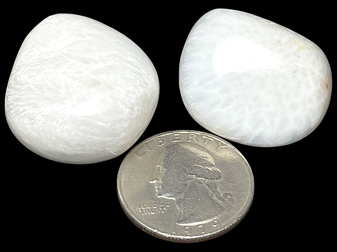 専用　スコレサイト✨約10mm スコレサイト タンブル