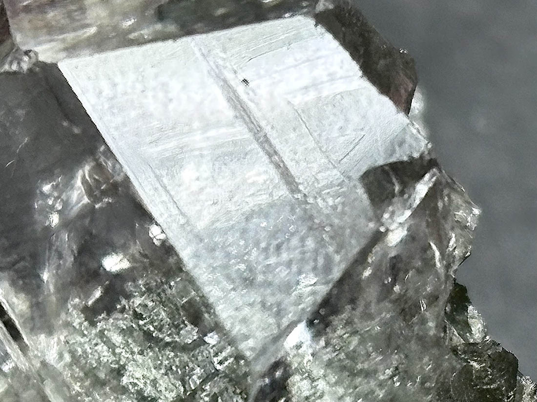 ヒマラヤ水晶　バーナクル　マニハール産　天然石　ゴールドルチル　クローライト ヒマラヤ水晶（マニハール産/ルチル・クローライト）の原石