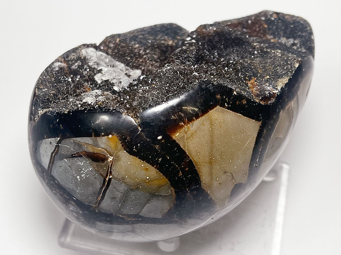 マダガスカル産セプタリアン ポリッシュ/Septarian