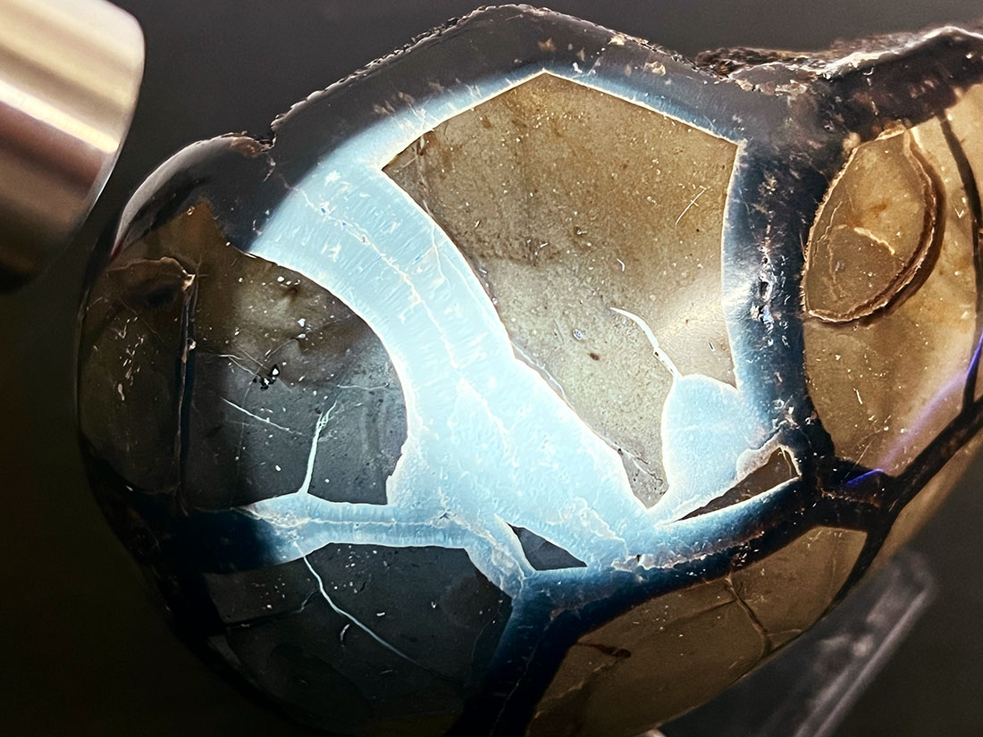 マダガスカル産セプタリアン ポリッシュ/Septarian