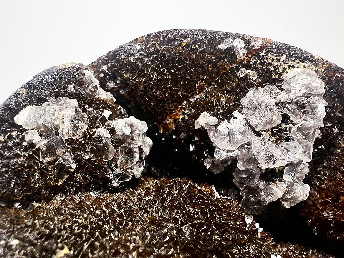 マダガスカル産セプタリアン ポリッシュ/Septarian