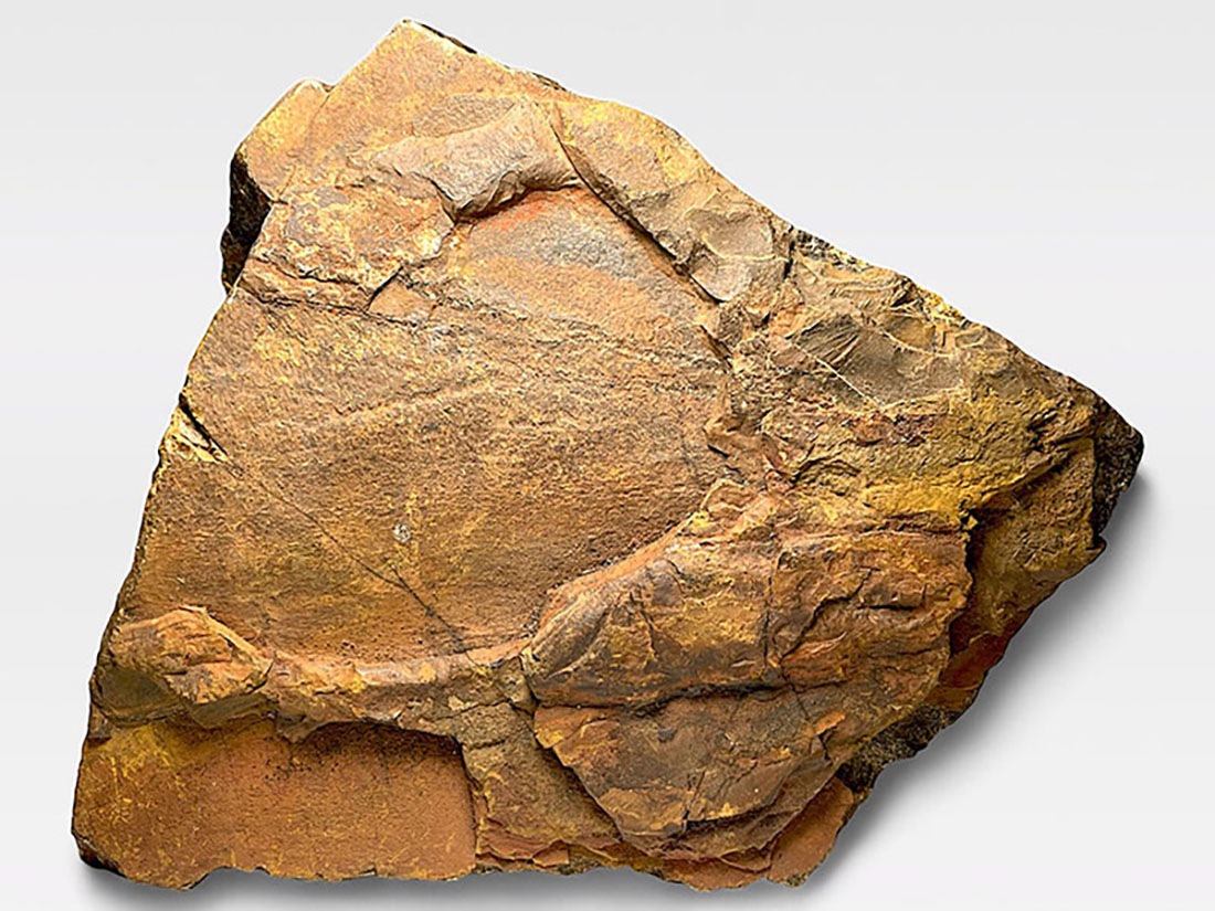 南アフリカ産 タイガーアイ (虎目石)/Tiger's eye