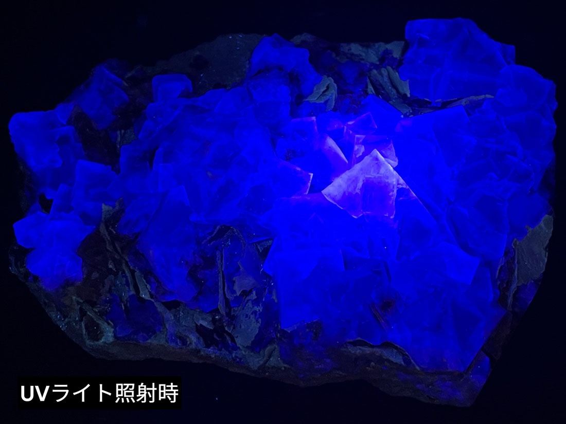 内モンゴル産 バイカラーフローライト/Bi-Color Fluorite (蛍石)