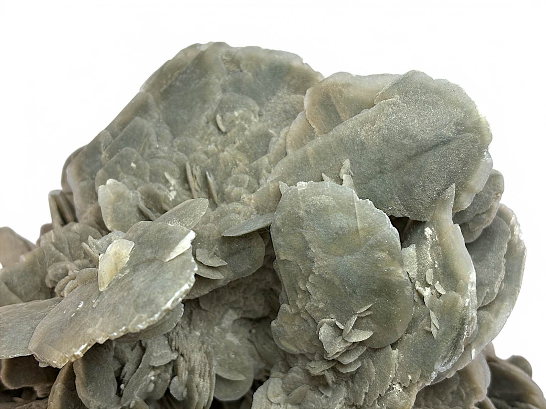 チュニジア産 大型 デザートローズ / Desert Rose(Gypsum)