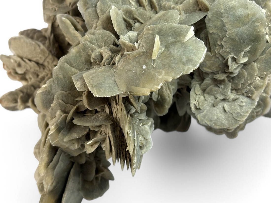チュニジア産 大型 デザートローズ / Desert Rose(Gypsum)