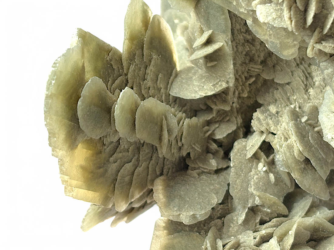 チュニジア産 大型 デザートローズ / Desert Rose(Gypsum)