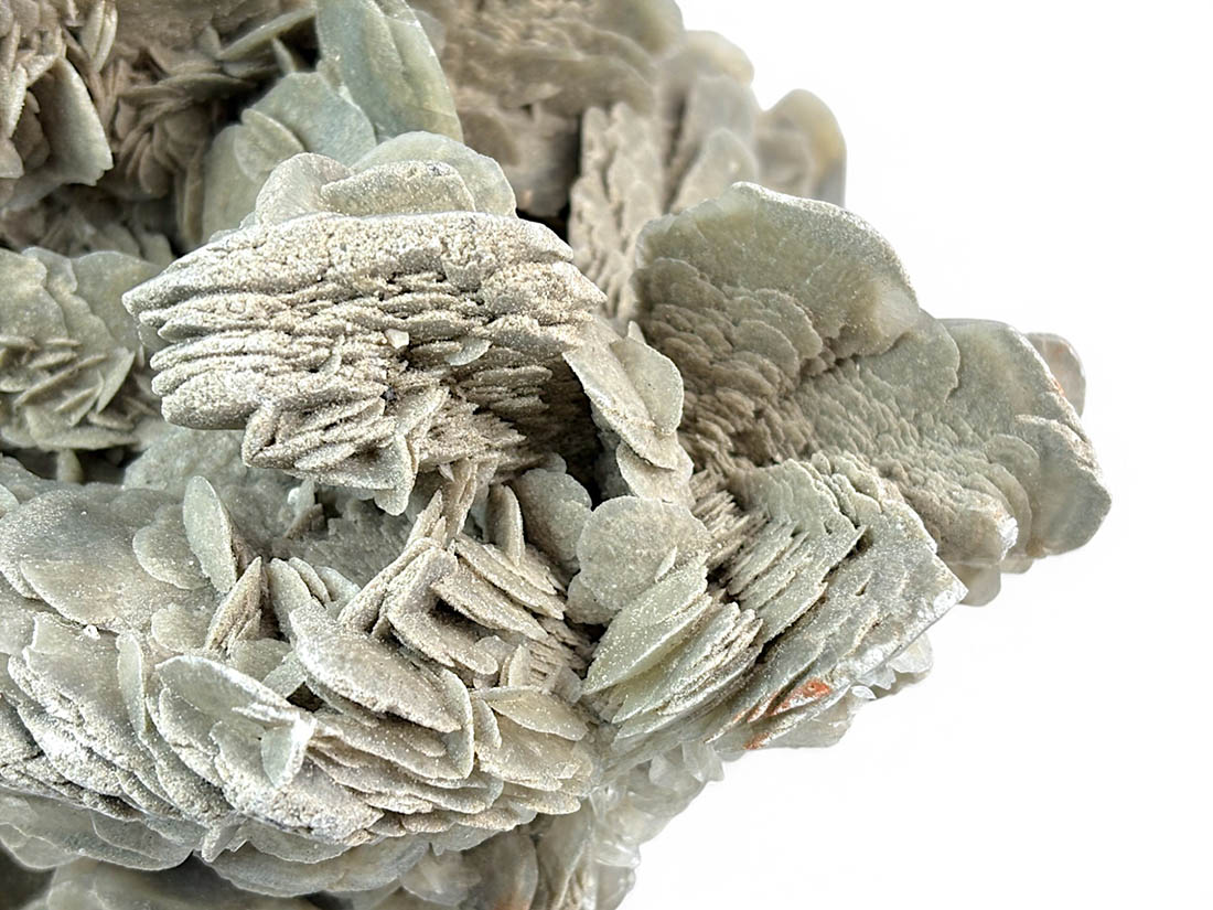 チュニジア産 大型 デザートローズ / Desert Rose(Gypsum)