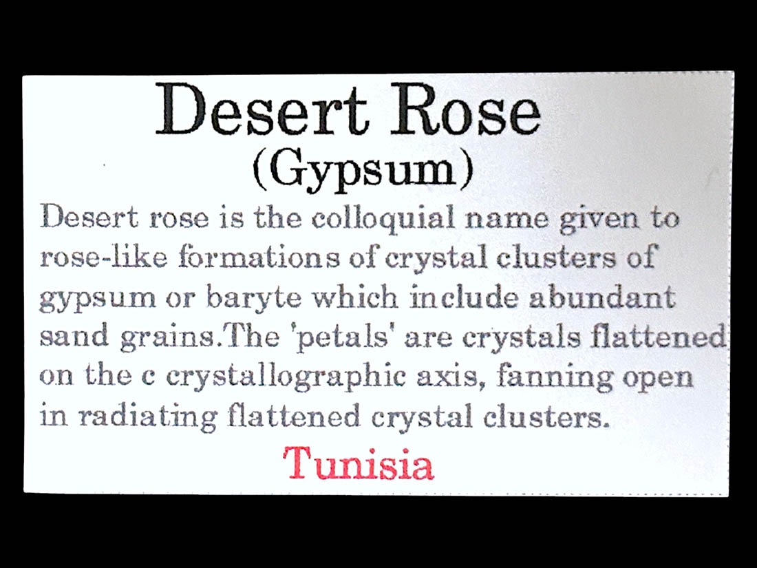チュニジア産 大型 デザートローズ / Desert Rose(Gypsum)