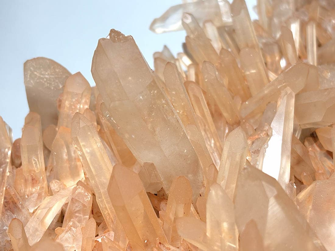 マジックフルーツ ２８ｔ マジックフルーツ 28t BMX マジックフルーツ 28t