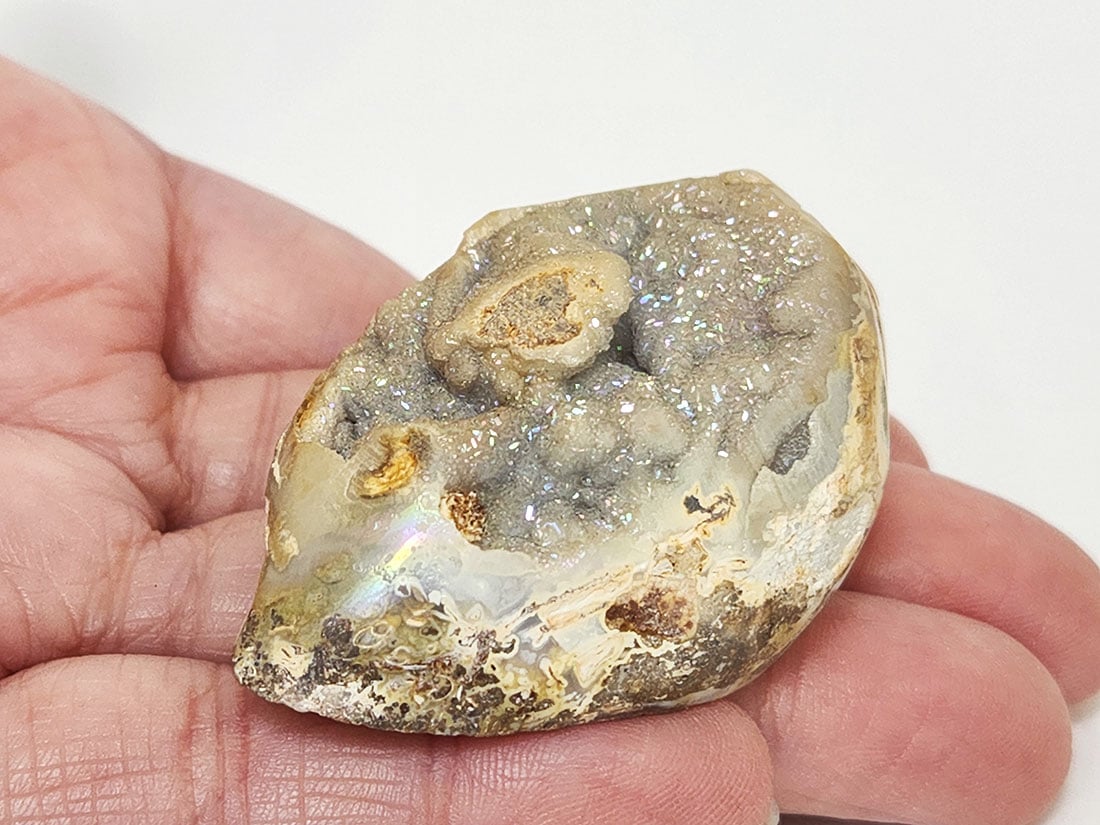 インド産 オーラクリスタルシェル/Aura druzy shell fossil