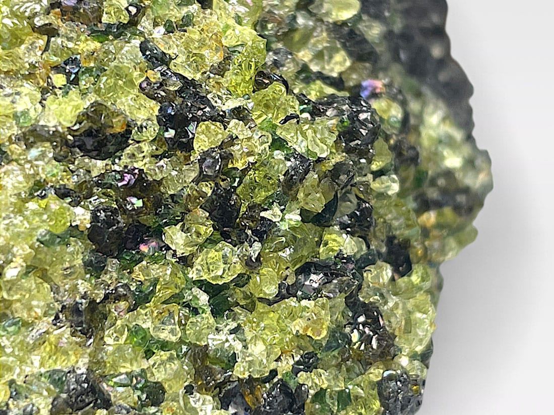 珪化木大宝珠②