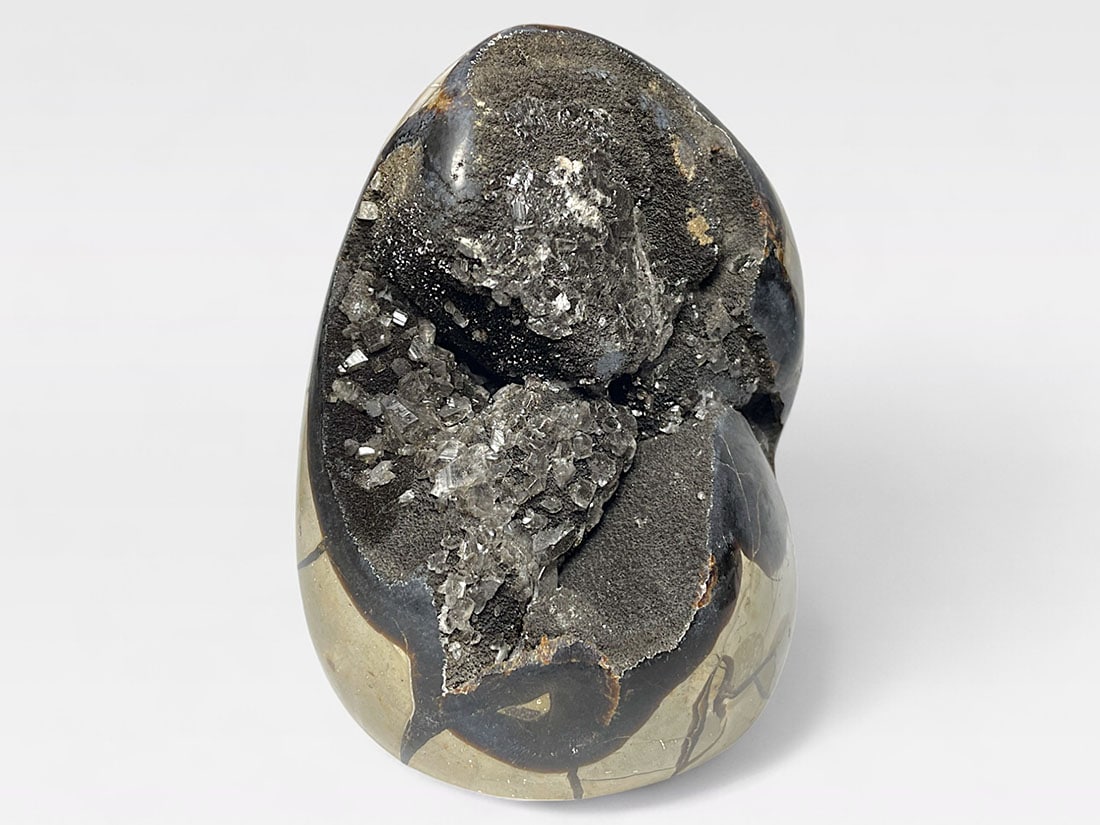 マダガスカル産セプタリアン(亀甲石)/Septarian